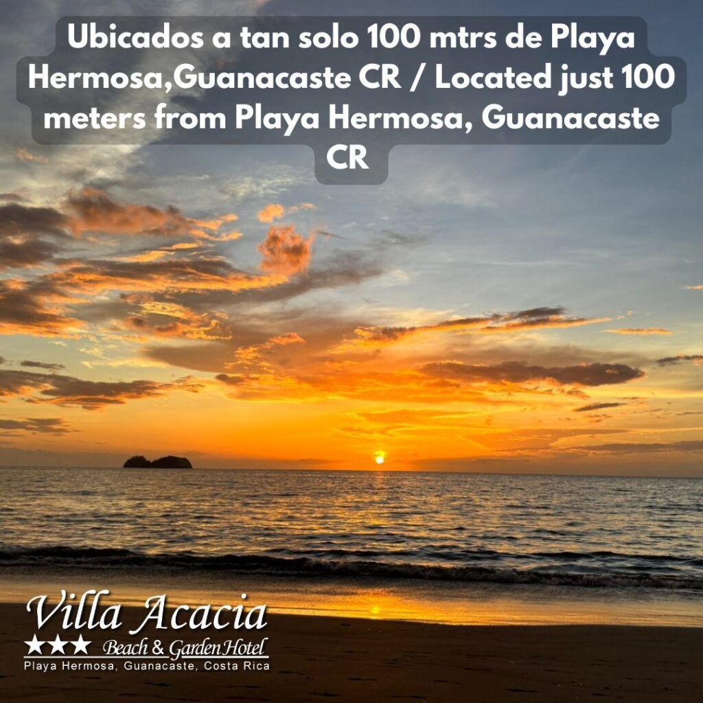 Cerca de la playa