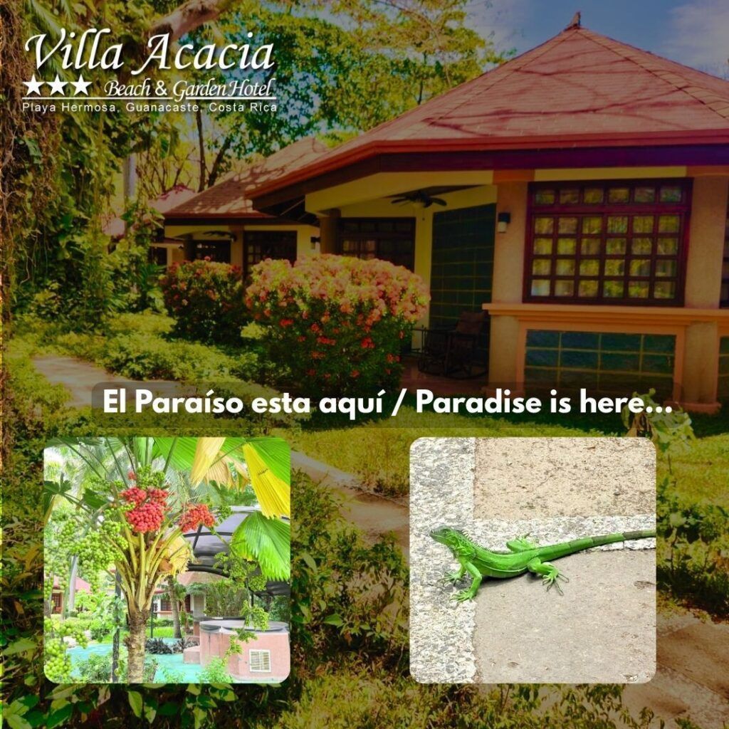 Instalaciones verdes