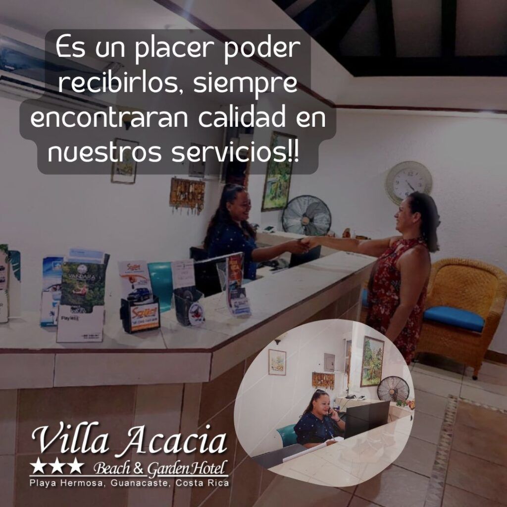 Servicio personalizado